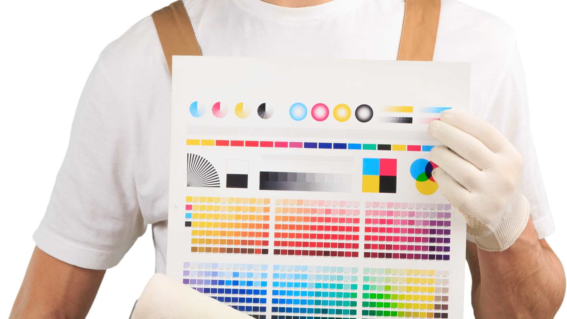 Ghiorghișor Metal, vopsitorie Bihor